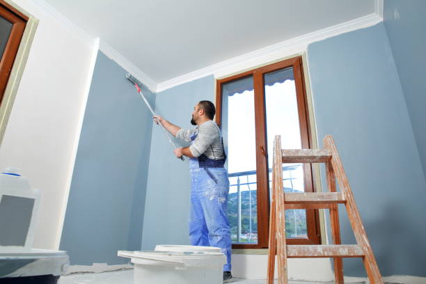 Best Black Mold Removal  in Centerville, OH
