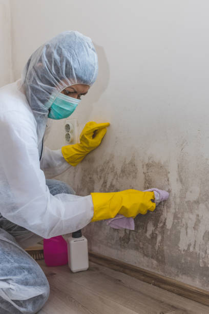 Best Air Quality Testing for Mold Spores  in Centerville, OH