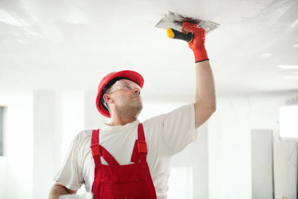 Best Water Damage & Mold Remediation  in Centerville, OH